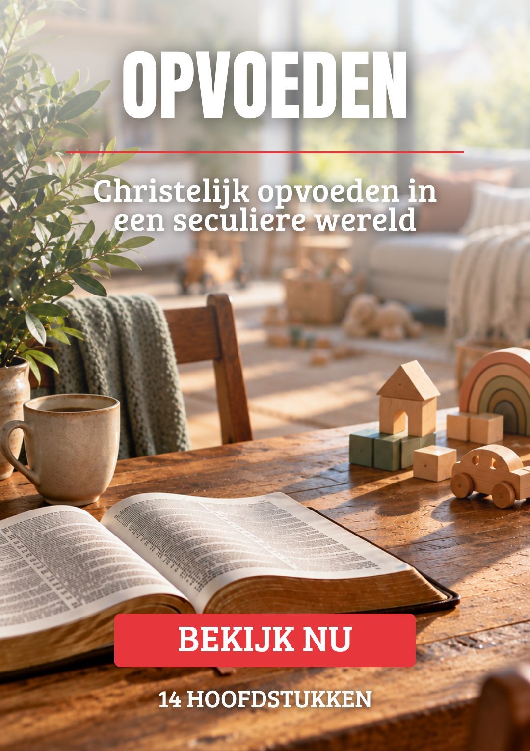 Opvoeden